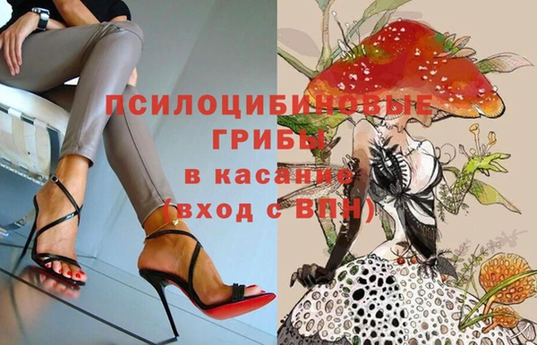ешки Беломорск