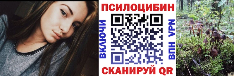 Псилоцибиновые грибы ЛСД  даркнет какой сайт  Воскресенск  как найти наркотики 